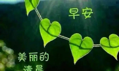 早上空腹吃香蕉是好的吗？