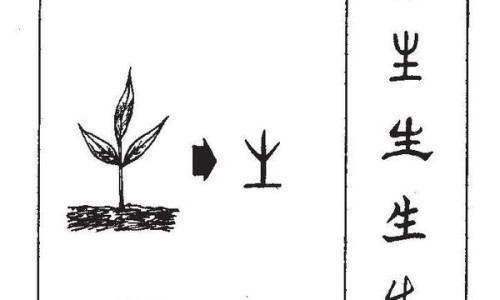 鳕鱼鱼油的功效与主治功能、鳕鱼鱼骨的作用与功效 -鳕鱼鱼油的功效网